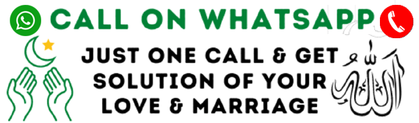 World Famous Astrologer Hazrat Ali Mohammed Ji +91-8264083564